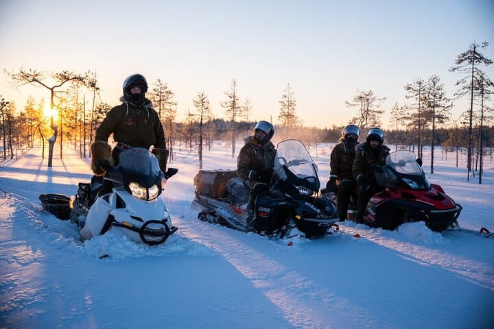 Ranua Snowmobile Safari Adventure on a Winter Lake 2 Hours 5