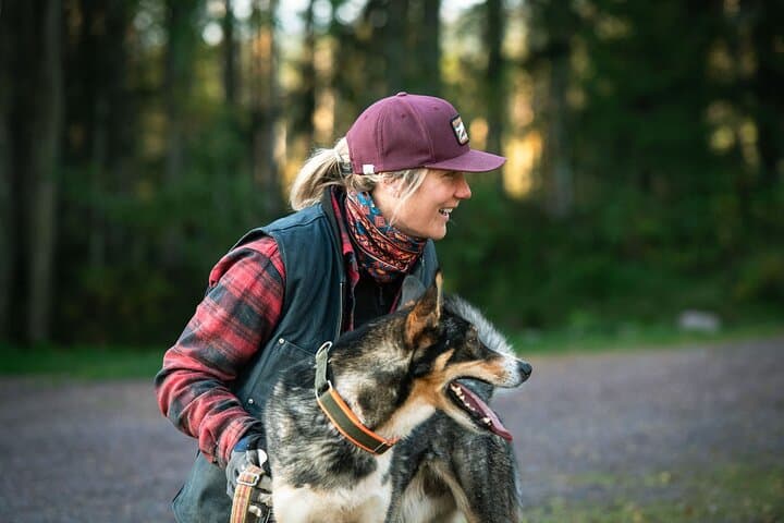 Husky cuddle at Fjälläventyr Dog Park - admission ticket 4