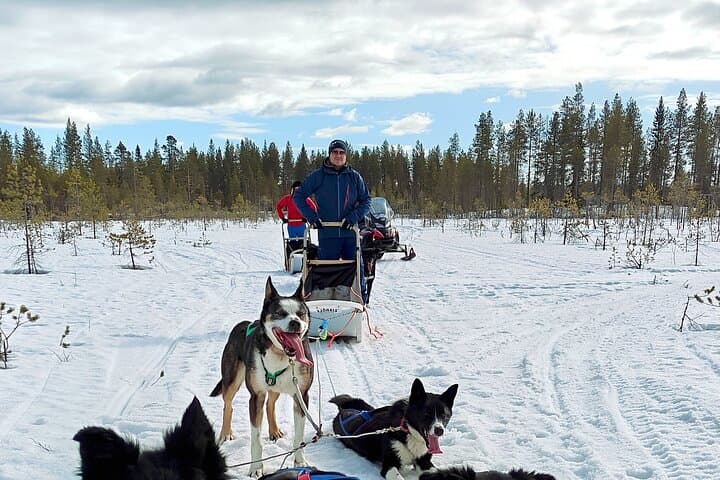 Rovaniemi Husky Safari - Self Drive Adventure 6-10km + BBQ