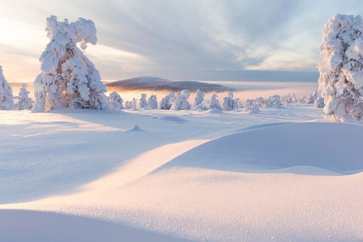 LEVI Winter Snowshoeing in the Finnish Wilderness (ALL INCLUDED) 2