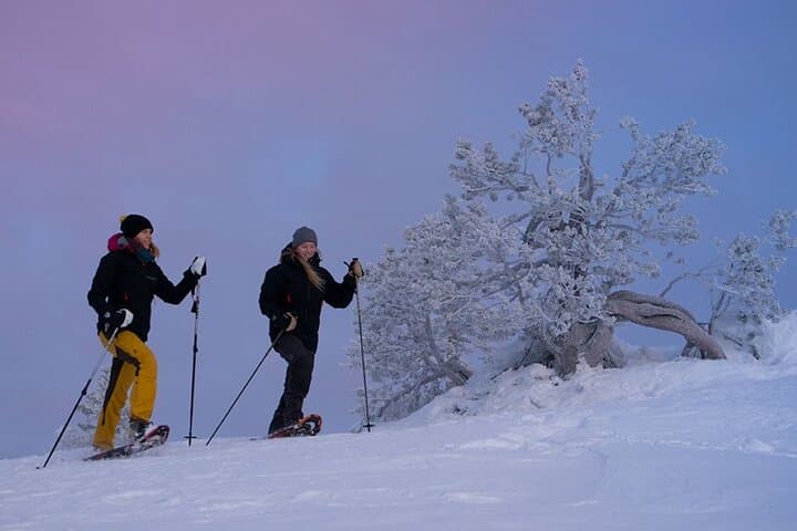 LEVI Winter Snowshoeing in the Finnish Wilderness (ALL INCLUDED) 3