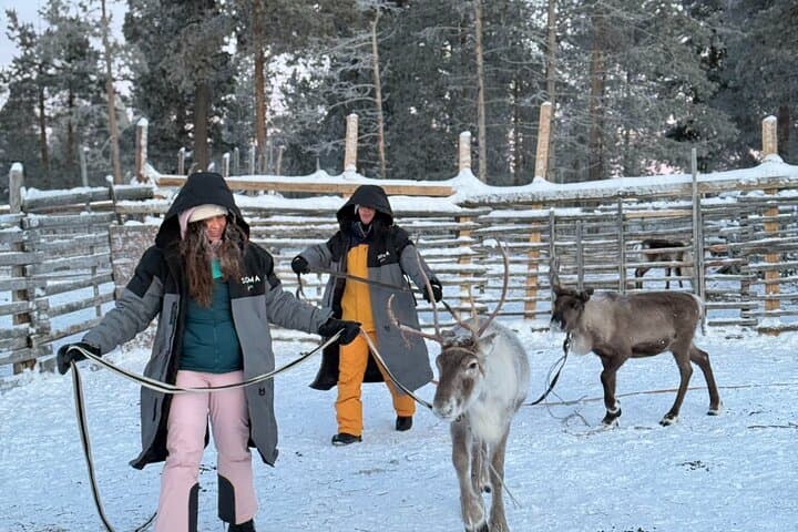 Arctic Reindeer Farm Experience with Snowshoeing in the Wild 2
