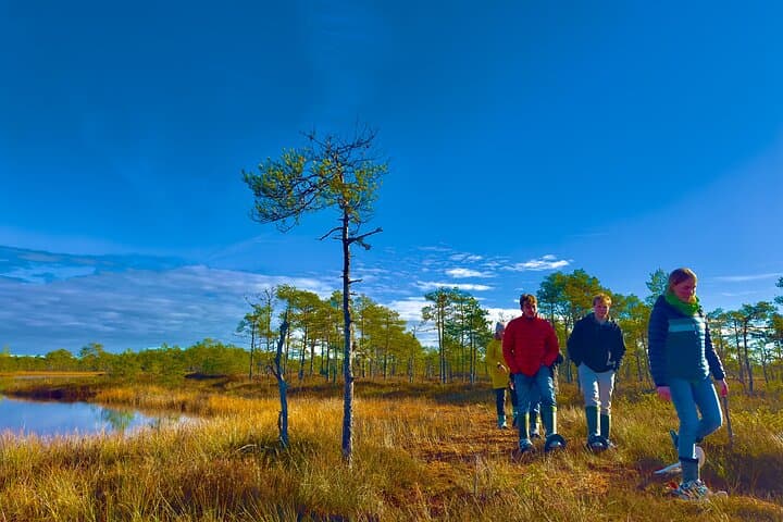 Bog-shoe Hiking Tour 4