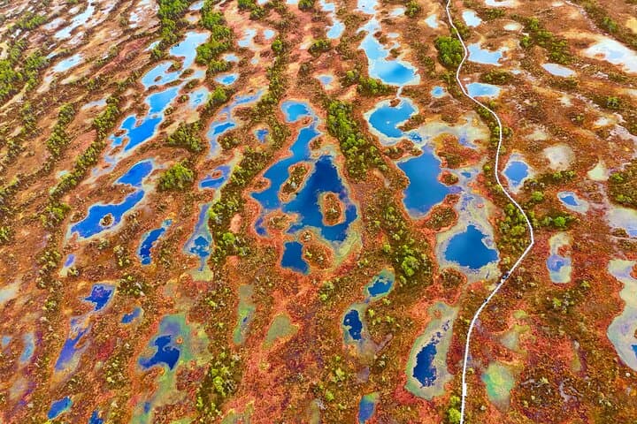 Bog-shoe Hiking Tour 2