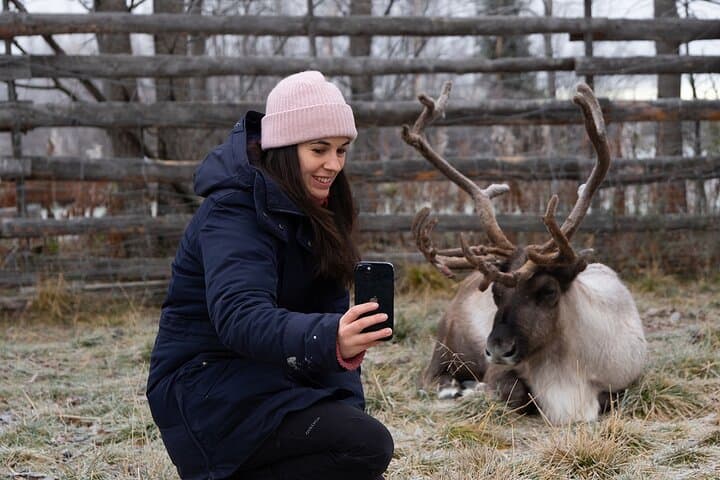 Ice Hotel and Sami Camp from Kiruna 3