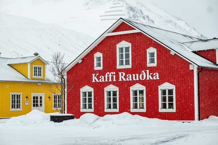 Arctic Coastline and Siglufjörður Tour 5