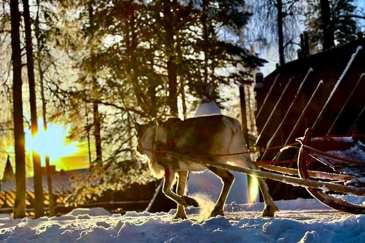 Santa Claus Village with Reindeer & Husky Ride 3