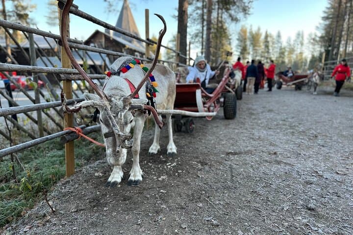 Santa Claus Village with Reindeer & Husky Ride 4