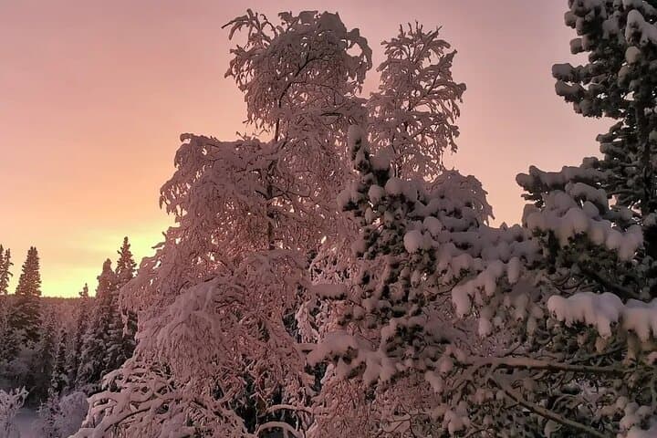 Snowmobile Adventure in Lapland: Guided Tour from Kiruna 4