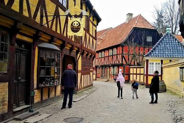 Aarhus Private Tour in Den Gamle By from Cruise Port 4