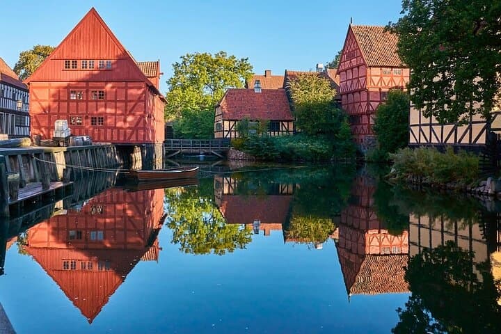 Aarhus Private Tour in Den Gamle By from Cruise Port 3