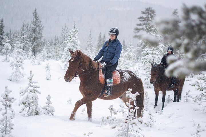 Horse ride to the snowy hill 2