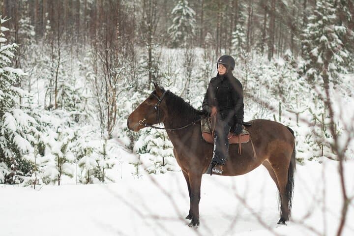Horse ride to the snowy hill 4