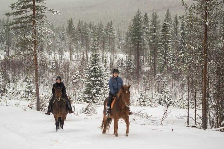 Horse ride to the snowy hill 3