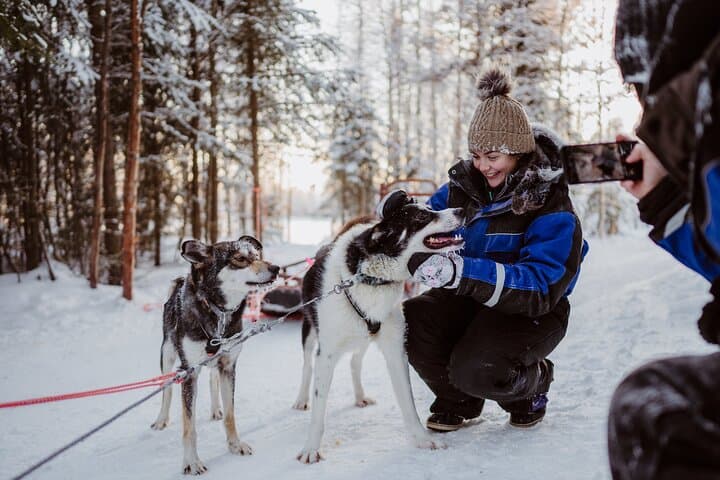 The Husky Forest Escape - 10KM Husky Safari 4