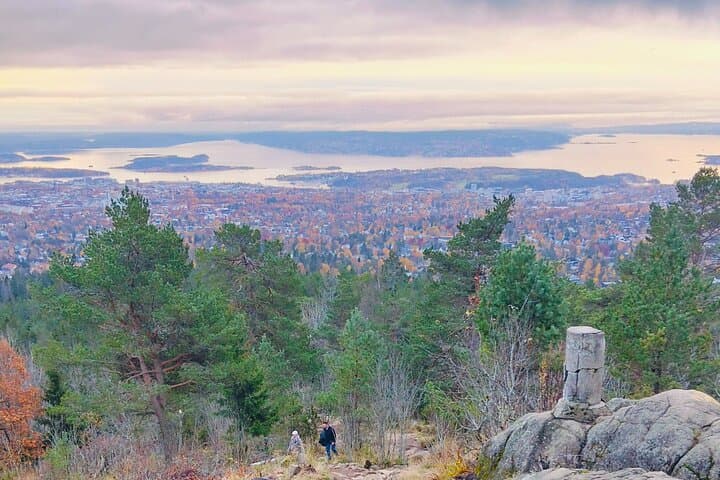 Oslo's Scenic Fjord Hike & Chef's Norwegian Forest Waffle 4