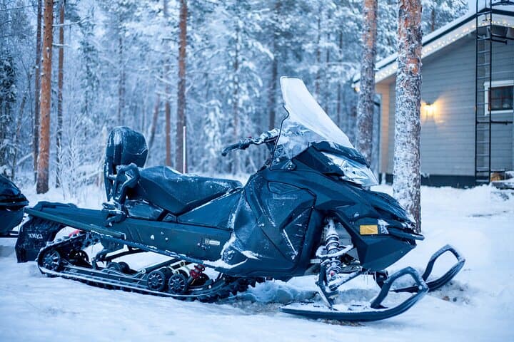 Small Group: Snowmobile Safari from Riverside Lodge 3h 3