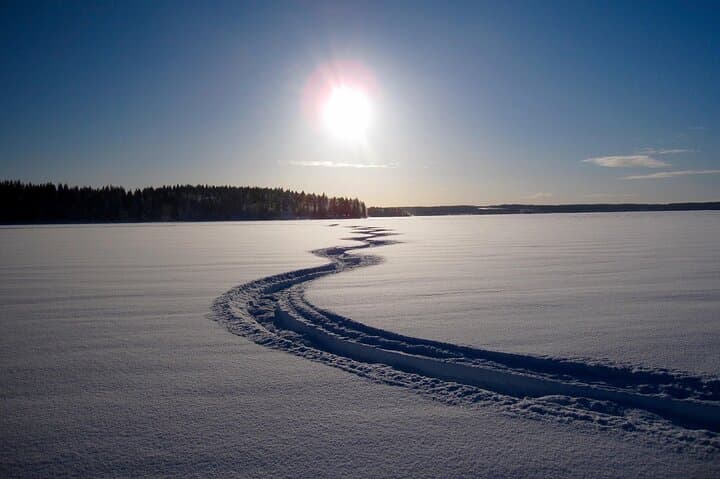 Small Group: Snowmobile Safari from Riverside Lodge 3h 5