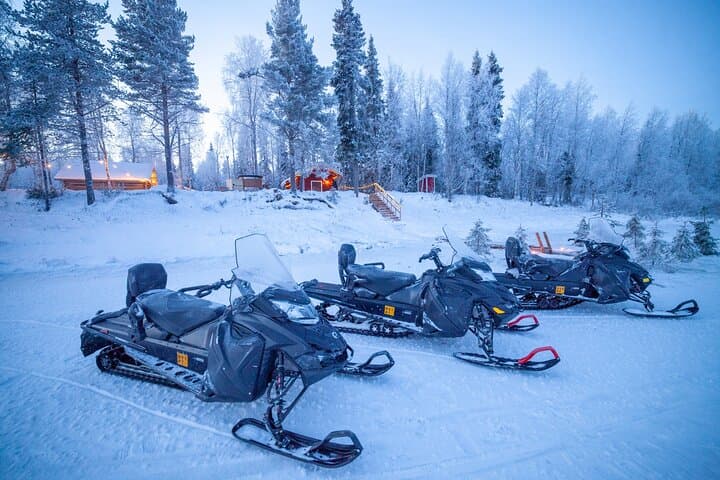 Small Group: Snowmobile Safari from Riverside Lodge 3h 4