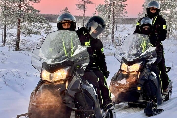 Small Group: Snowmobile Safari from Riverside Lodge 3h 2