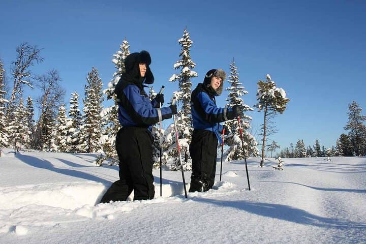 Snowshoe Trek in Kiruna's snowy forest 2