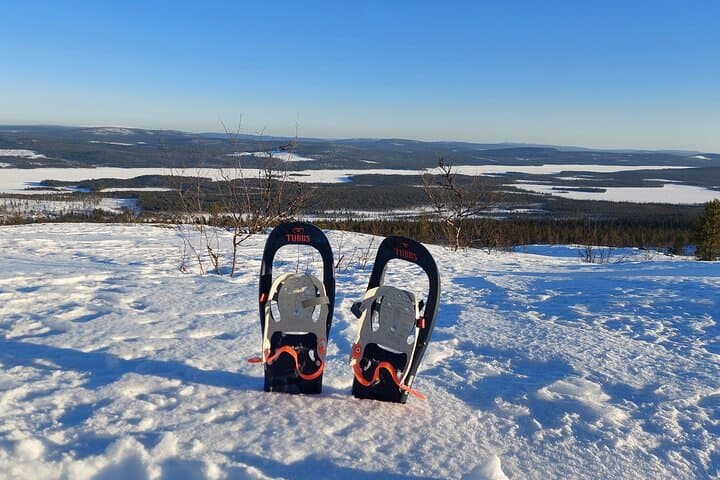 Snowshoe Trek in Kiruna's snowy forest 4