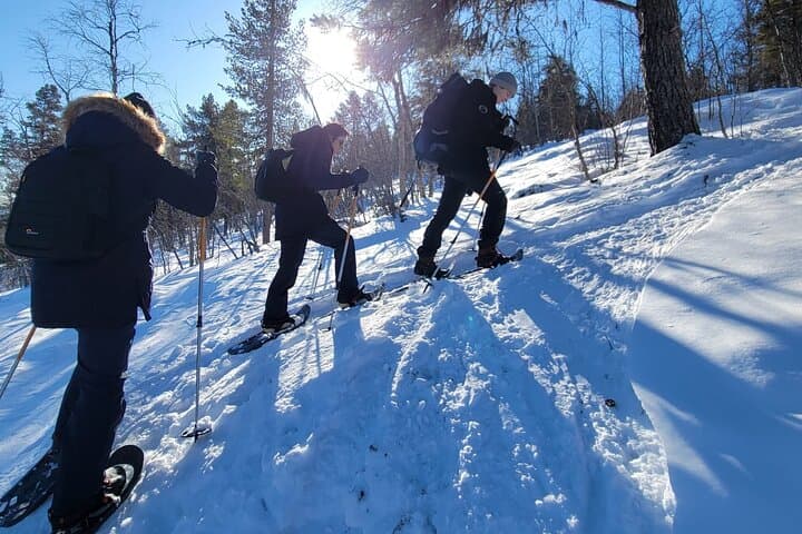 Snowshoe Trek in Kiruna's snowy forest 5