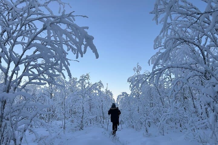 Guided Daytime Ski Adventure: Explore Private Trails by Rovaniemi 2