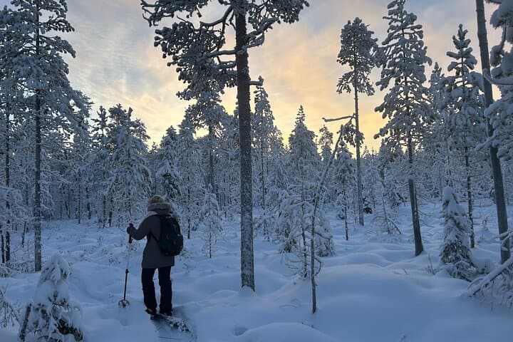 Guided Daytime Ski Adventure: Explore Private Trails by Rovaniemi 4