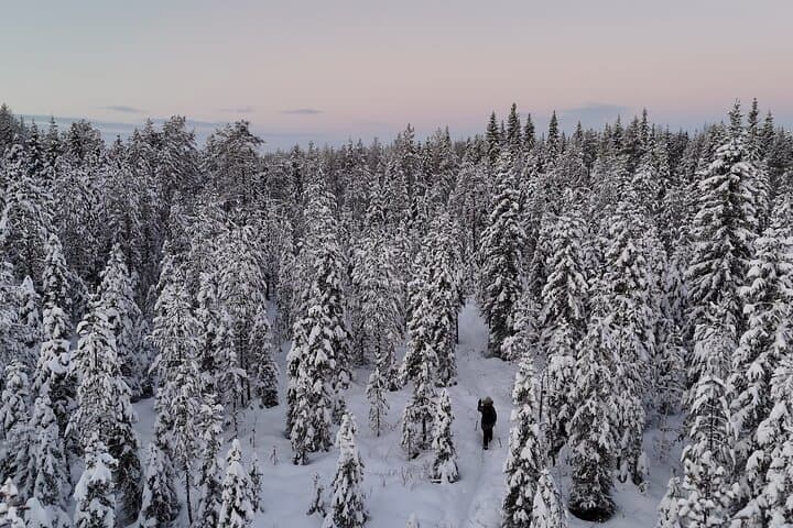 Guided Daytime Ski Adventure: Explore Private Trails by Rovaniemi 5
