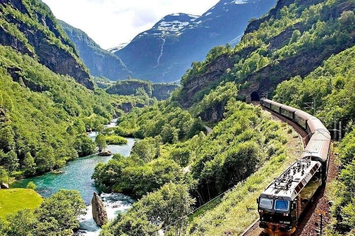 Oslo to Sognefjord Full Day Private Round Trip and Flam Railway 2