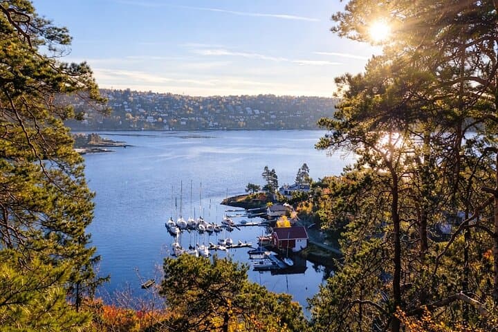 OsloFjord: Malmøya beautiful Island Guided Hike-Waffle&Drink 2