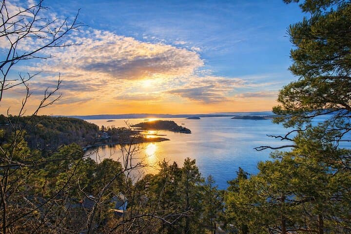 OsloFjord: Malmøya beautiful Island Guided Hike-Waffle&Drink