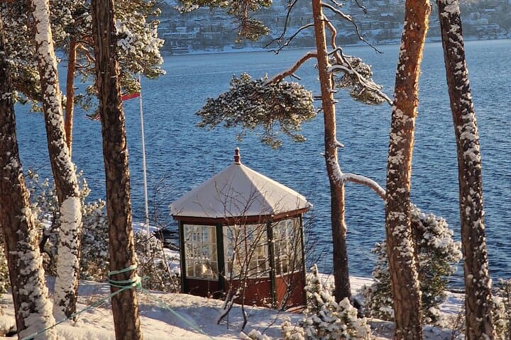 OsloFjord: Malmøya beautiful Island Guided Hike-Waffle&Drink 4