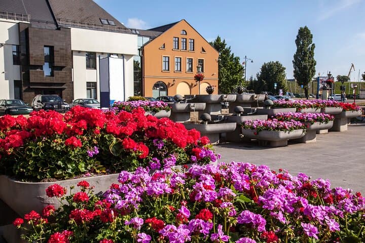 Cruise Friendly Klaipeda Tour 3