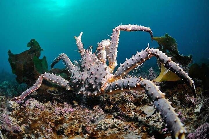 Authentic Bergen Interactive Private Walking Tour 2