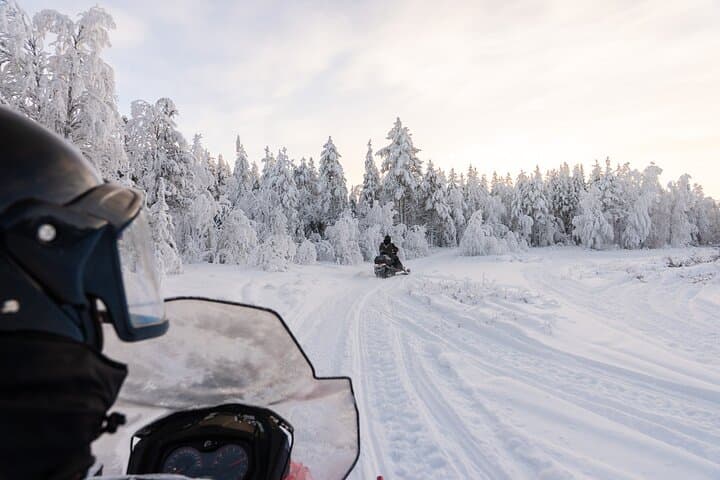Ranua Snowmobile Safari Adventure on Winter Lake 1 hour 3