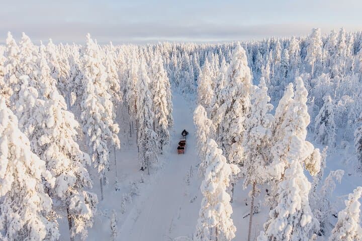 Ranua Lupland Activity Park Entry with Reindeer Experience 2