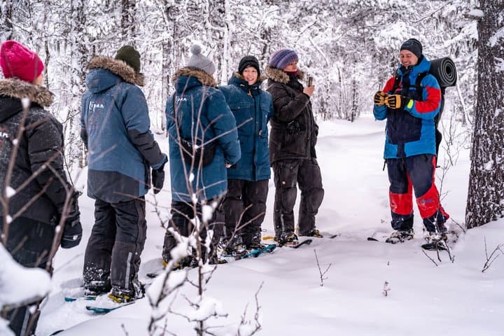 Snowshoe in a Winter Forest 2