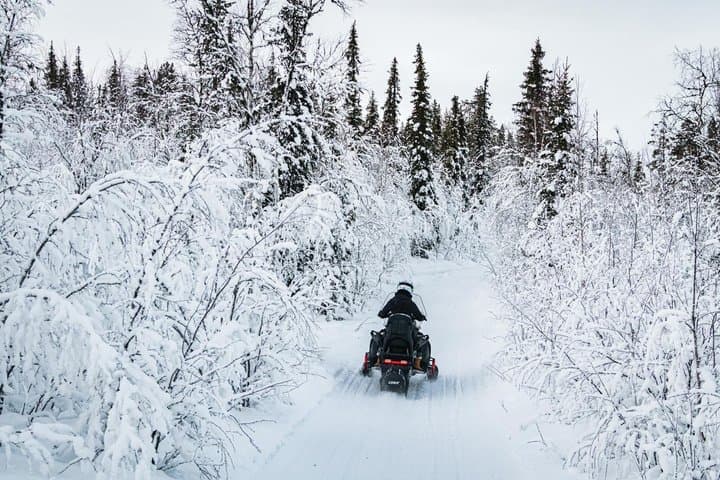 Afternoon Snowmobile Tour 3