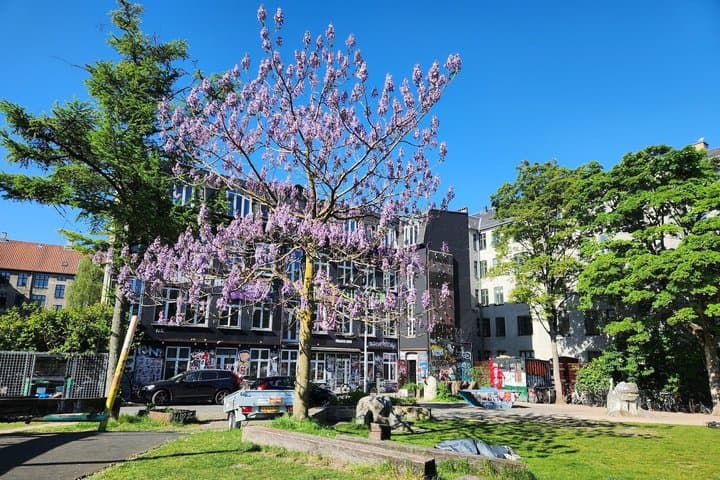 Nørrebro Walking Tour – The World’s Coolest Neighborhood 4