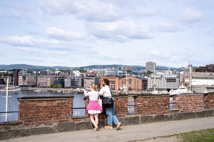 Oslo: Get Private City Tour with Guide & Driver by Luxury Minivan 5