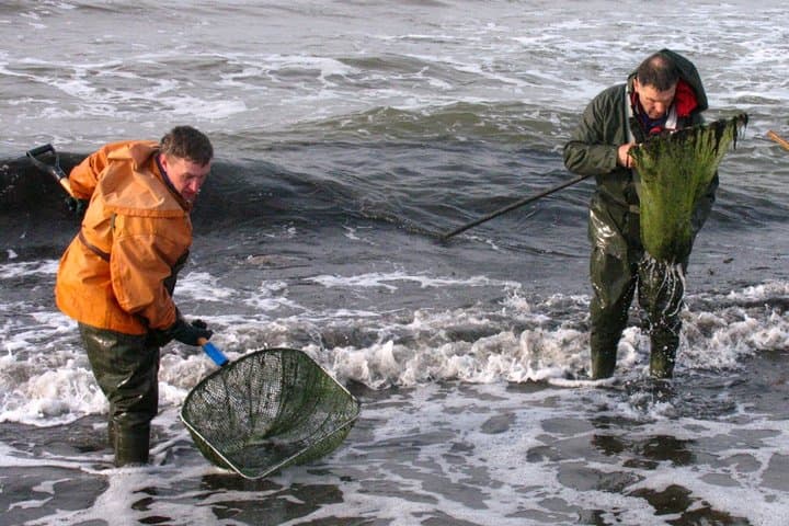 Private Tour: Amber Hunting in Curonian Spit from Klaipeda 4