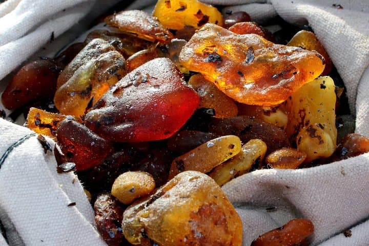 Private Tour: Amber Hunting in Curonian Spit from Klaipeda 5