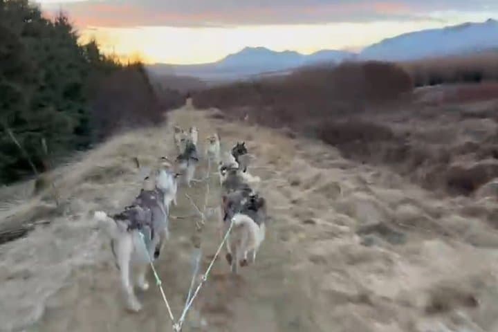 Dog cart-ride in Akureyri 4