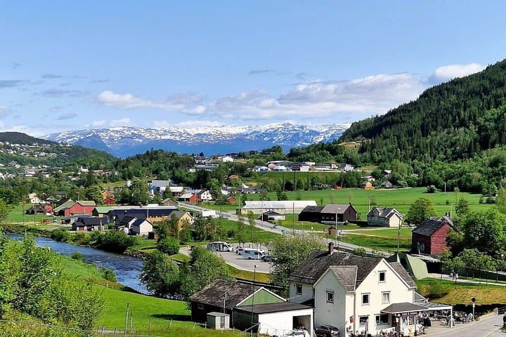 Oslo to Sognefjord Full Day Private Round Trip and Flam Railway 3