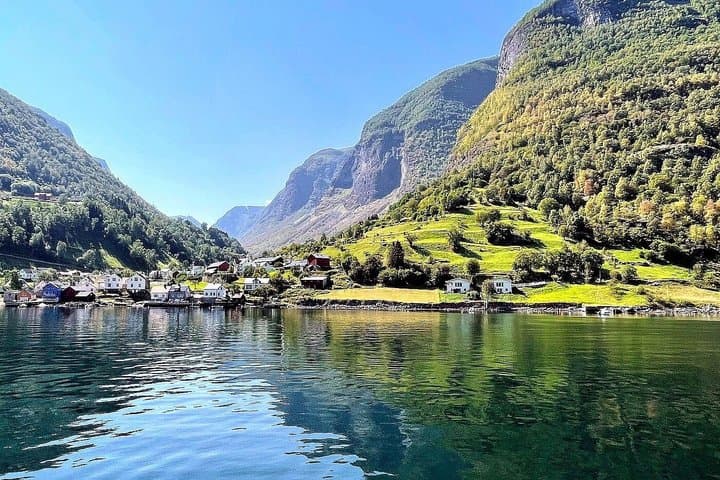 Oslo to Sognefjord Full Day Private Round Trip and Flam Railway 4